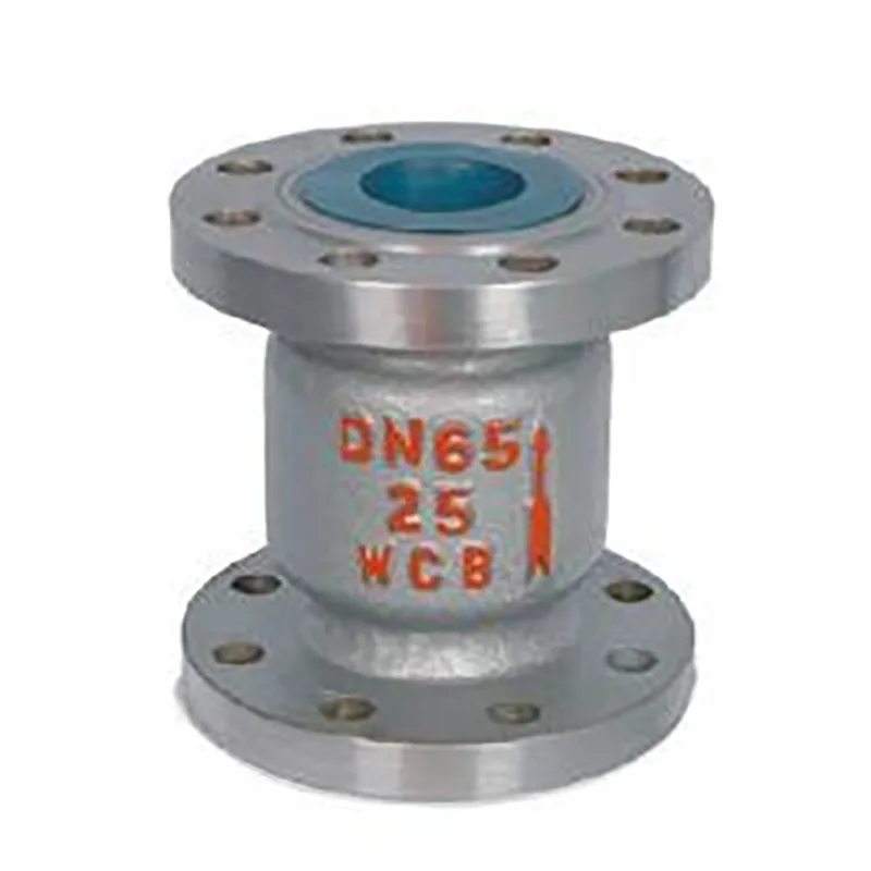 Vertical နှင့် Horizontal Check Valve